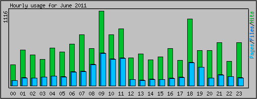 Hourly usage