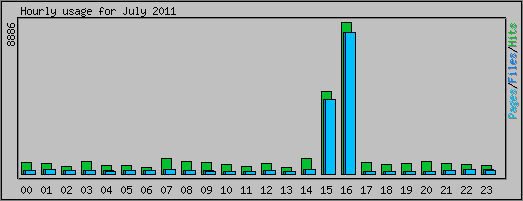 Hourly usage