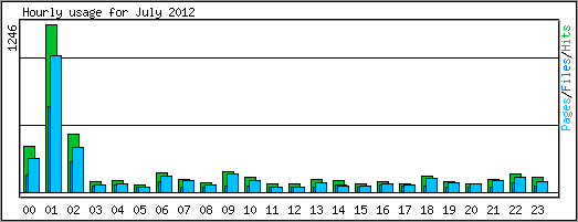 Hourly usage