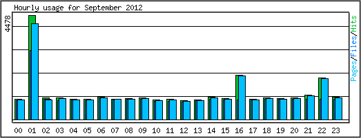 Hourly usage