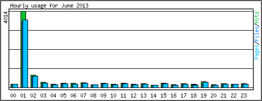 Hourly usage