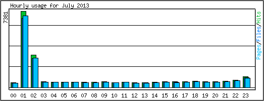 Hourly usage