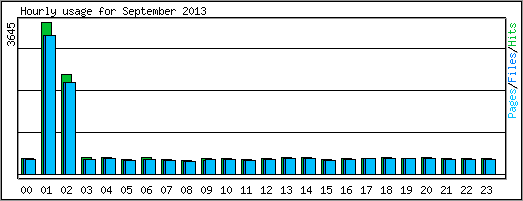 Hourly usage