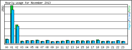 Hourly usage