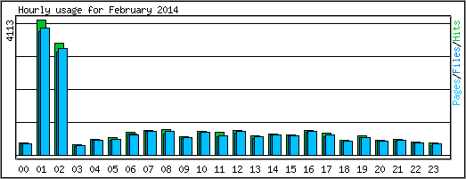 Hourly usage