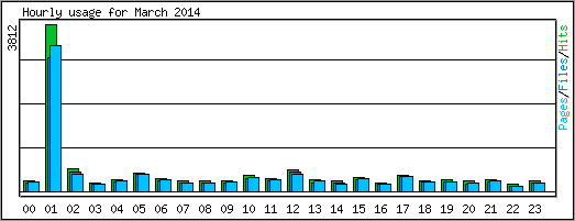 Hourly usage