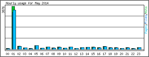 Hourly usage