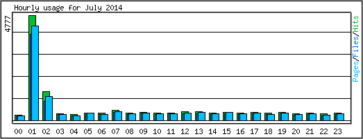 Hourly usage