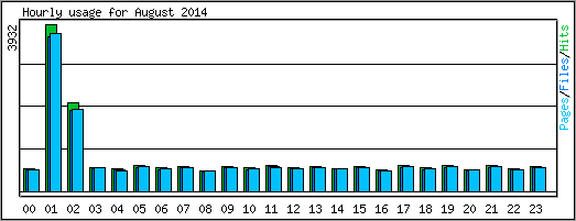 Hourly usage