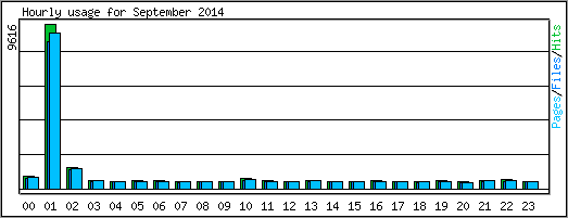 Hourly usage