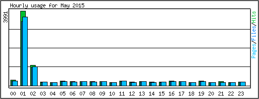 Hourly usage