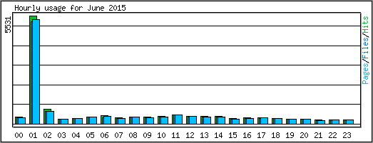 Hourly usage