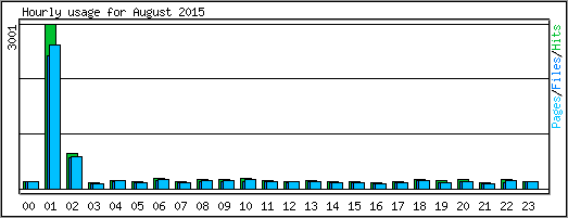 Hourly usage