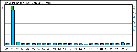 Hourly usage