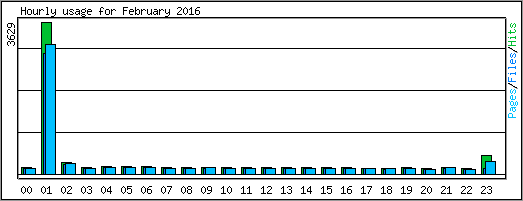 Hourly usage