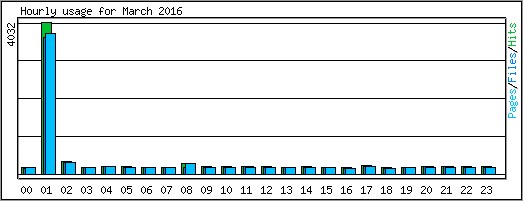 Hourly usage