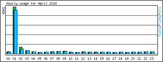 Hourly usage