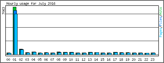 Hourly usage