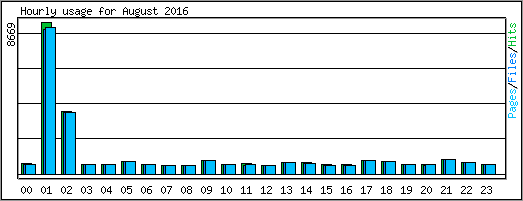 Hourly usage