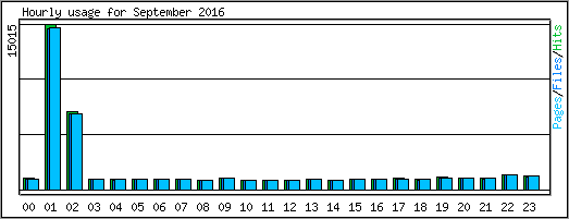 Hourly usage