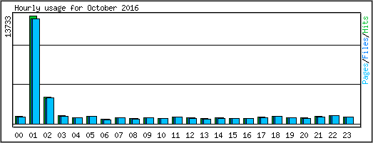 Hourly usage