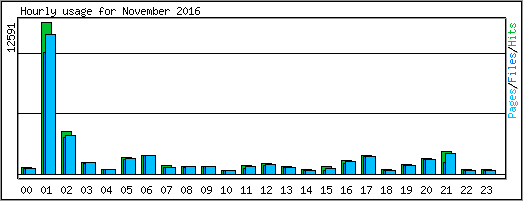 Hourly usage