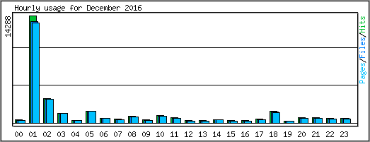 Hourly usage