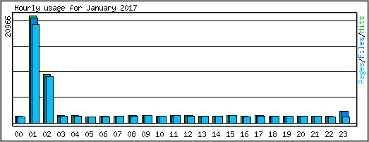 Hourly usage