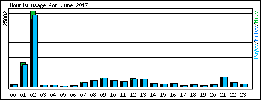 Hourly usage