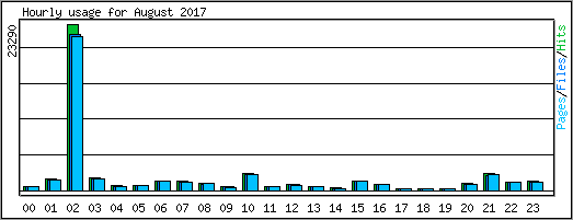 Hourly usage