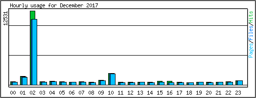 Hourly usage