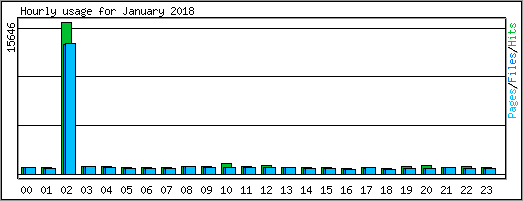 Hourly usage