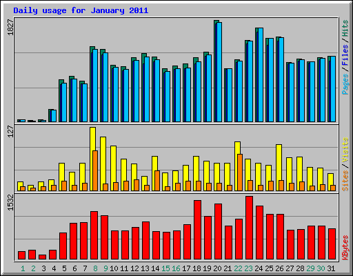 Daily usage for January 2011