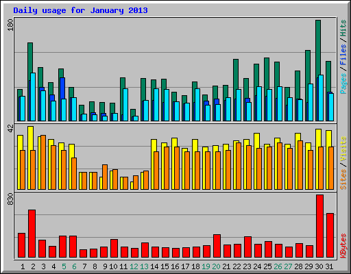 Daily usage for January 2013