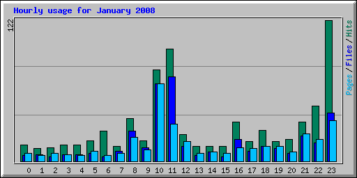 Hourly usage for January 2008