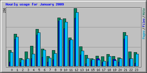 Hourly usage for January 2009