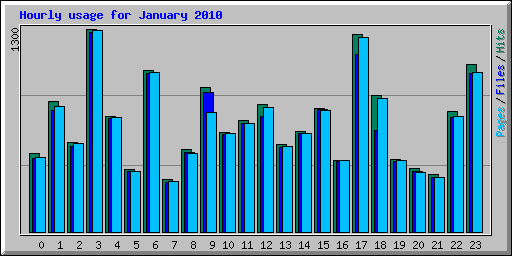 Hourly usage for January 2010