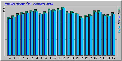 Hourly usage for January 2011