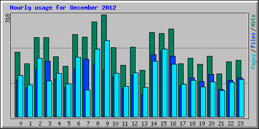 Hourly usage for December 2012