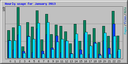 Hourly usage for January 2013