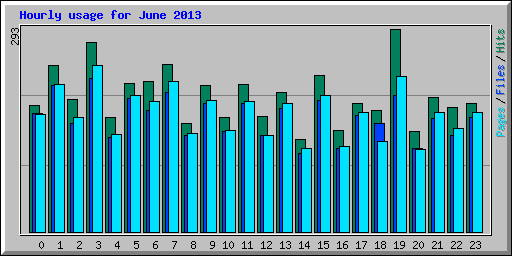 Hourly usage for June 2013