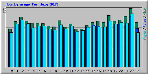 Hourly usage for July 2013