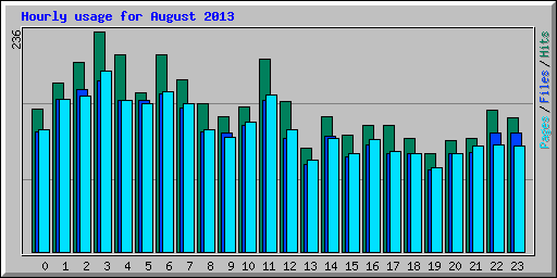 Hourly usage for August 2013