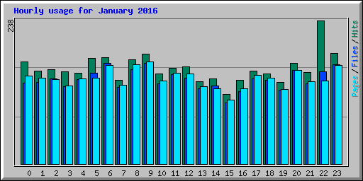 Hourly usage for January 2016