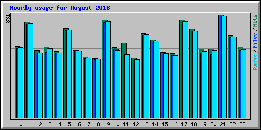 Hourly usage for August 2016