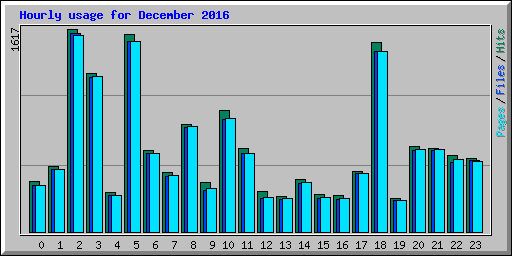 Hourly usage for December 2016