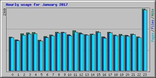 Hourly usage for January 2017