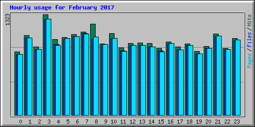 Hourly usage for February 2017